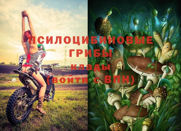 бошки Абинск