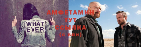 мет Алексин
