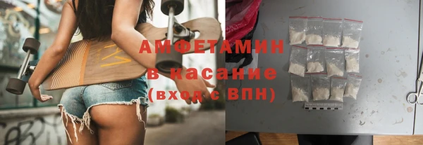 мет Алексин