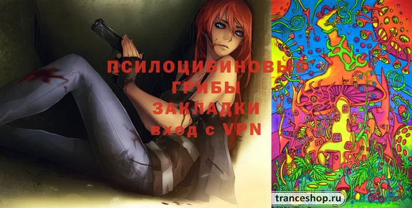 мет Алексин