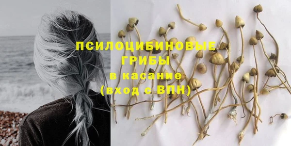 мет Алексин