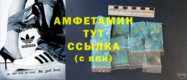 мет Алексин